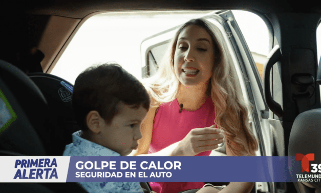 Golpe de calor, seguridad en el auto